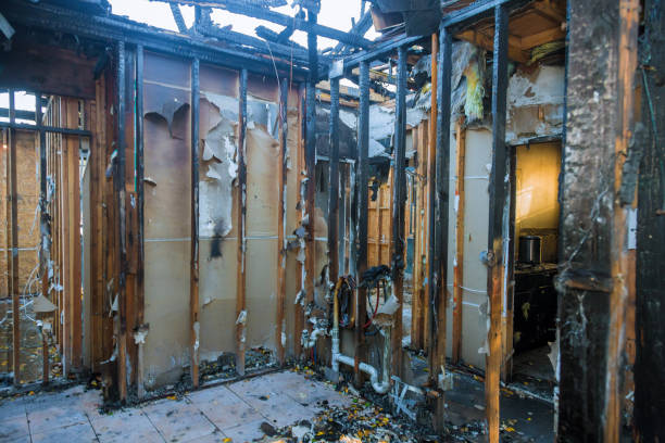 Professional Fire Damage Removal technician working in Mount Vernon, OH
